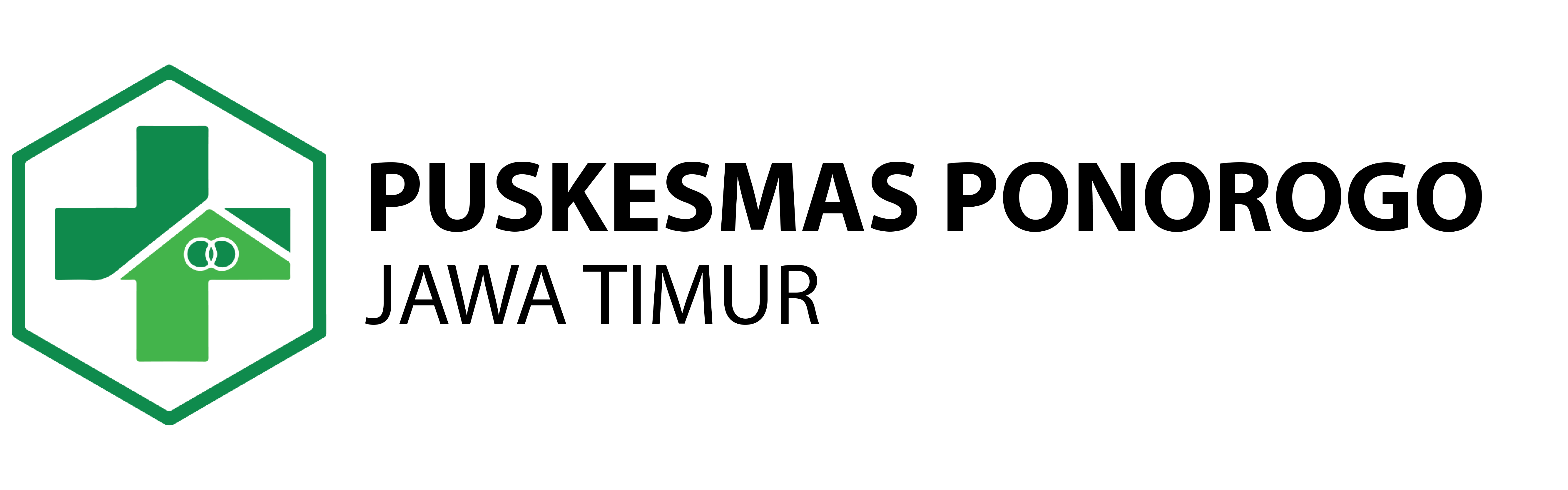 Logo Puskesmas